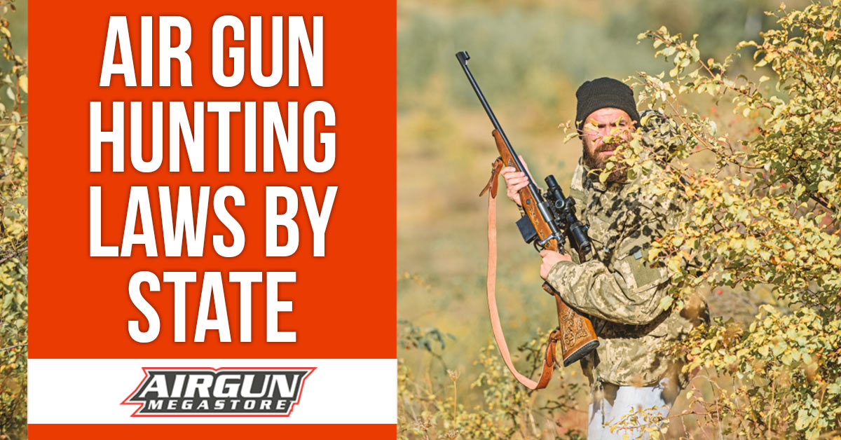 Air Gun Hunting Laws by State - Updated for 2020